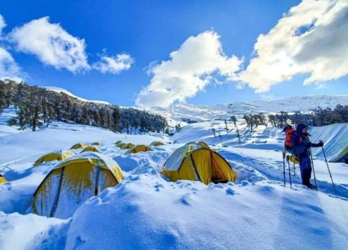 Discover the Hidden Gem: Brahmatal Trek with Hodo Phile Tour Travel