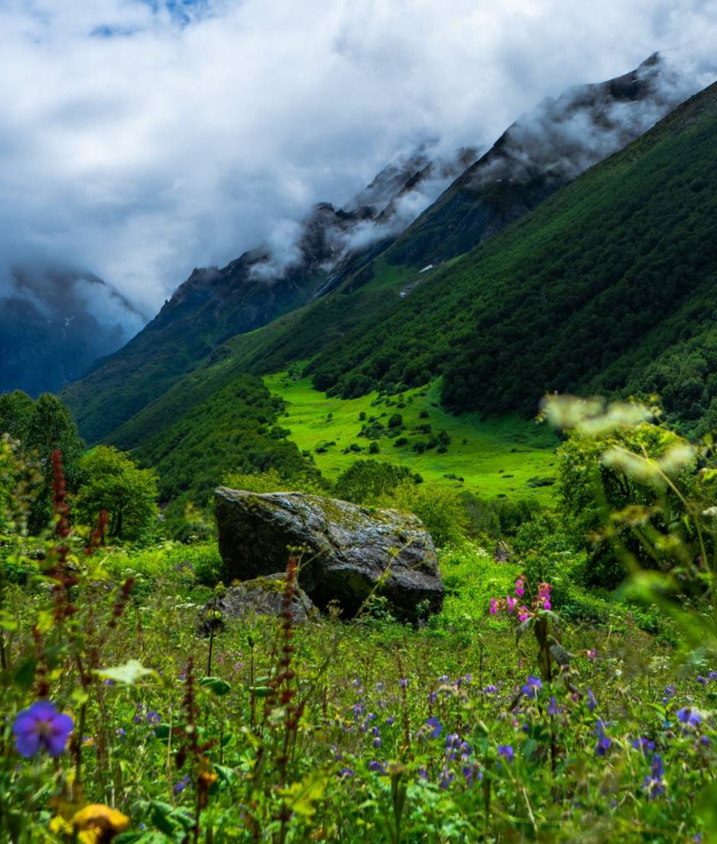Valley Of Flower