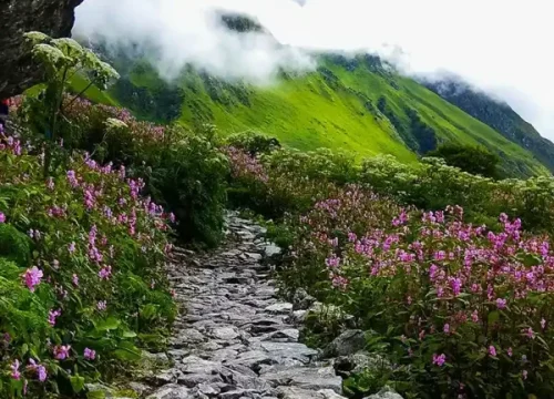 Valley of Flowers Trek
